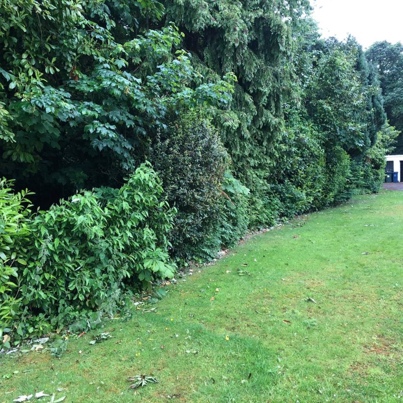 Clearance-Tidy-For-Dolphin-Court-Rhos-on-Sea-North-Wales5