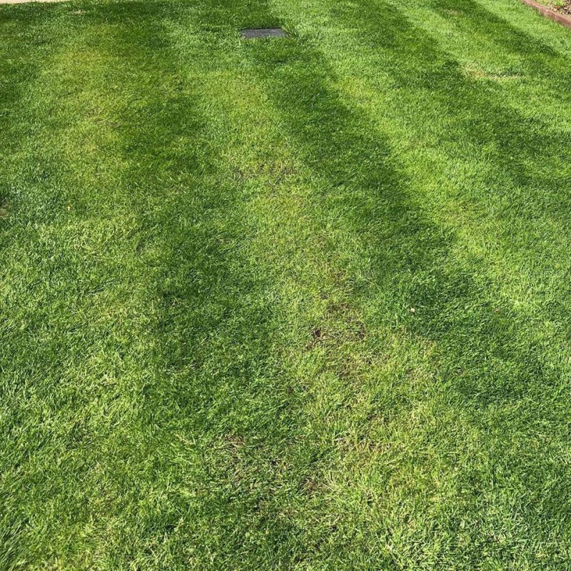 Freshly-cut-lawn-North-Wales-2